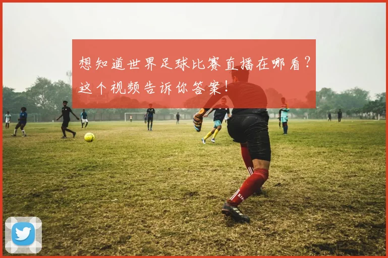 想知道世界足球比赛直播在哪看？这个视频告诉你答案！